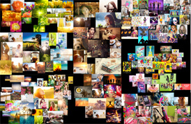 网页设计,北京网页设计,风雨同路网页设计,手机端网页设计